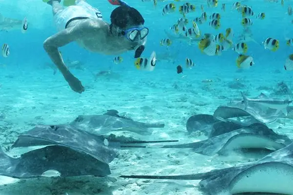 Snorkeling dans les eaux cristallines de Bora Bora avec poissons tropicaux